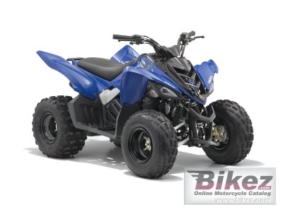 2011 Yamaha YFM90 photo